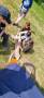 unsortiert_Lager_2023_268