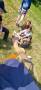 unsortiert_Lager_2023_278