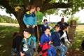 IMG_61782024-05-19