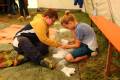 IMG_68922024-05-20