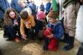 IMG_85122024-05-22