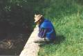 1998_15