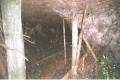 1999_scan_56