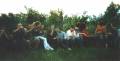 2003_scan_79